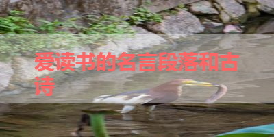 爱读书的名言段落和古诗 
