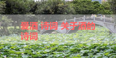 爱酒 诗词 关于酒的诗词