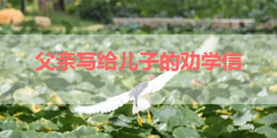 父亲写给儿子的劝学信 