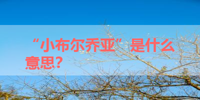 “小布尔乔亚”是什么意思？ 