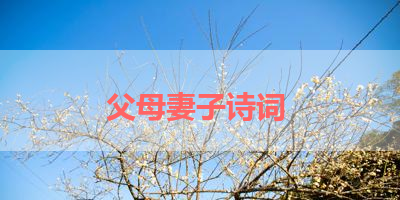 父母妻子诗词 