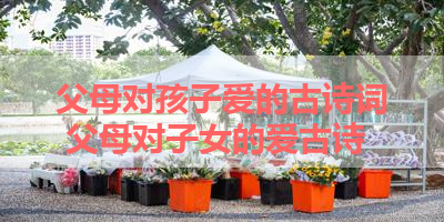 父母对孩子爱的古诗词 父母对子女的爱古诗