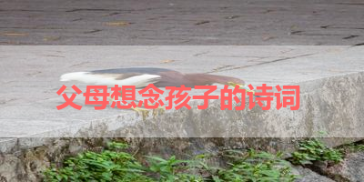 父母想念孩子的诗词 