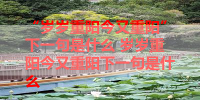 “岁岁重阳今又重阳”下一句是什么 岁岁重阳今又重阳下一句是什么