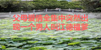 父母爱情全集中突然出现一个男人叫江德福爹 