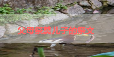 父母祭奠儿子的祭文 