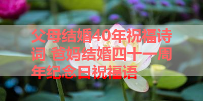 父母结婚40年祝福诗词 爸妈结婚四十一周年纪念日祝福语 