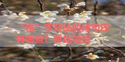 “岂”字开头的诗句还有哪些？粉丝勿扰 