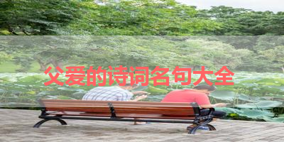 父爱的诗词名句大全 