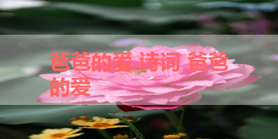 爸爸的爱 诗词 爸爸的爱