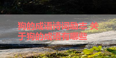 狗的成语诗词励志 关于狗的成语有哪些 