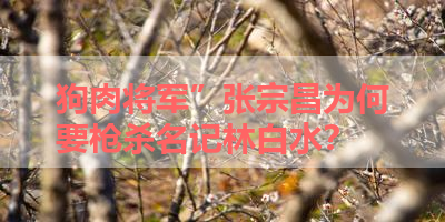 狗肉将军”张宗昌为何要枪杀名记林白水？ 