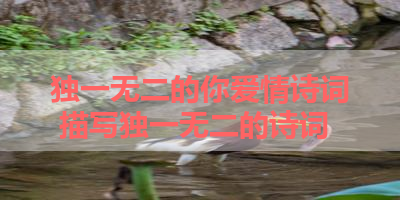 独一无二的你爱情诗词 描写独一无二的诗词