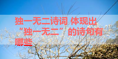 独一无二诗词 体现出“独一无二”的诗句有哪些 