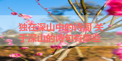 独在深山中的诗词 关于深山的诗句有哪些 