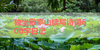 独坐敬亭山续写诗词600字日记 