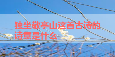 独坐敬亭山这首古诗的诗意是什么 