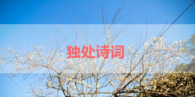 独处诗词 