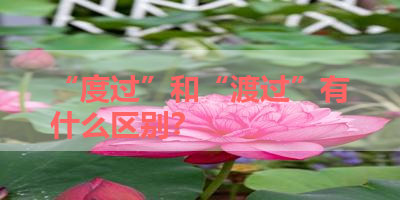 “度过”和“渡过”有什么区别？ 