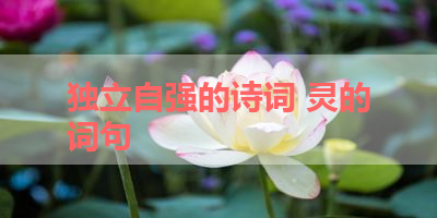 独立自强的诗词 灵的词句