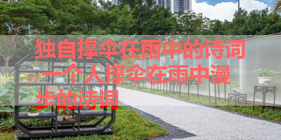 独自撑伞在雨中的诗词 一个人撑伞在雨中漫步的诗词 