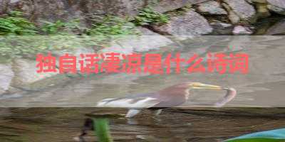 独自话凄凉是什么诗词 