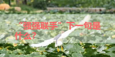 “强强联手”下一句是什么？ 