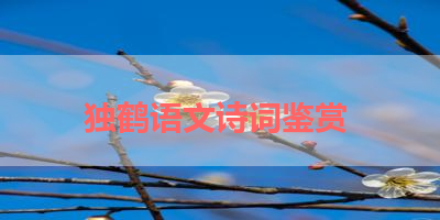 独鹤语文诗词鉴赏 