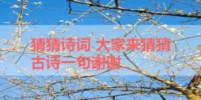 猜猜诗词 大家来猜猜古诗一句谢谢 