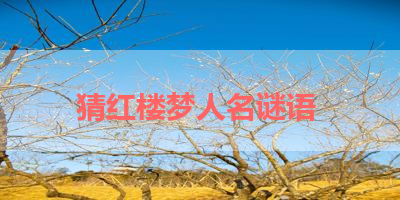 猜红楼梦人名谜语 