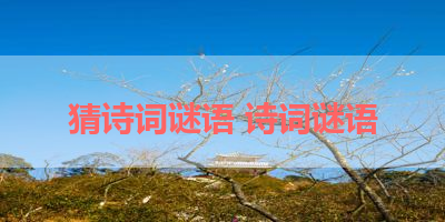 猜诗词谜语 诗词谜语