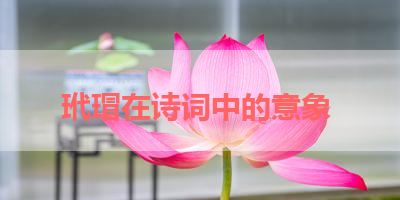 玳瑁在诗词中的意象 