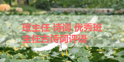班主任 诗词 优秀班主任古诗词评语