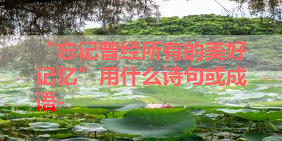 “忘记曾经所有的美好记忆”用什么诗句或成语- 