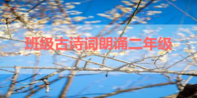 班级古诗词朗诵二年级 