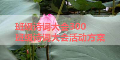 班级诗词大会300 班级诗词大会活动方案