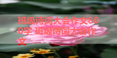 班级诗词大会作文800字 班级诗词大会作文