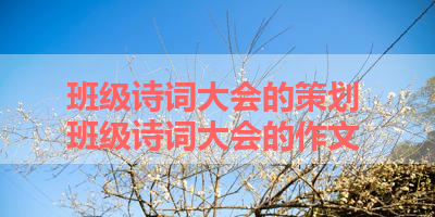 班级诗词大会的策划 班级诗词大会的作文