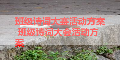 班级诗词大赛活动方案 班级诗词大会活动方案