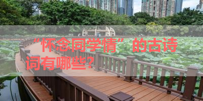 “怀念同学情”的古诗词有哪些？ 