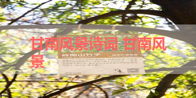 甘南风景诗词 甘南风景