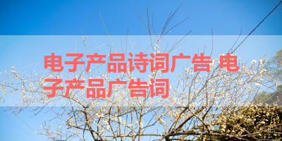 电子产品诗词广告 电子产品广告词
