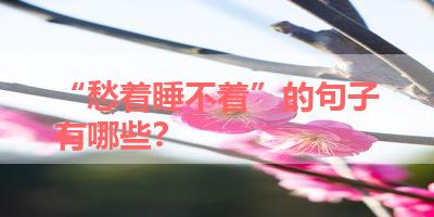 “愁着睡不着”的句子有哪些？ 