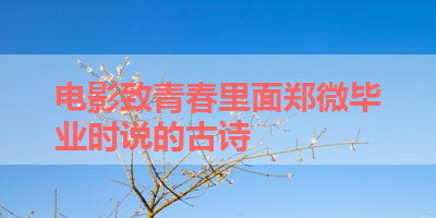 电影致青春里面郑微毕业时说的古诗 