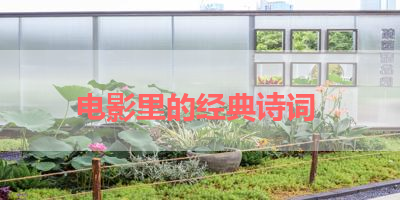 电影里的经典诗词 