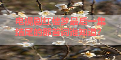 电视剧红楼梦最后一集结尾的那首词谁知道？ 