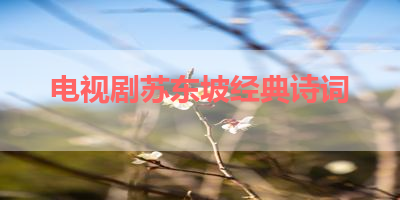 电视剧苏东坡经典诗词 