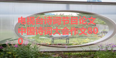电视台诗词节目论文 中国诗词大会作文800 