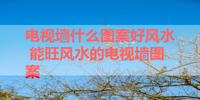电视墙什么图案好风水 能旺风水的电视墙图案