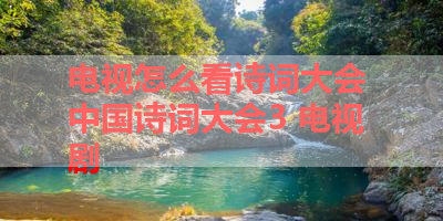 电视怎么看诗词大会 中国诗词大会3 电视剧